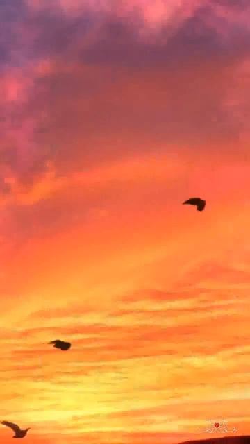 ТЫ ПРИНОСИШЬ МНЕ РАССВЕТ 🎶 Евгений Мартынов 🌸 ХИТ-70 смотреть онлайн