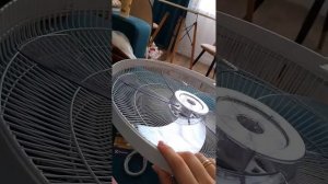 Сборка и обзор вентилятора напольного EFF-1020i