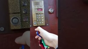 Тест домофонов Пушкина.