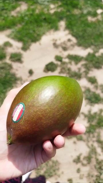 подарок 🎁 #влог #оренбург #манго #подаркисвоимируками