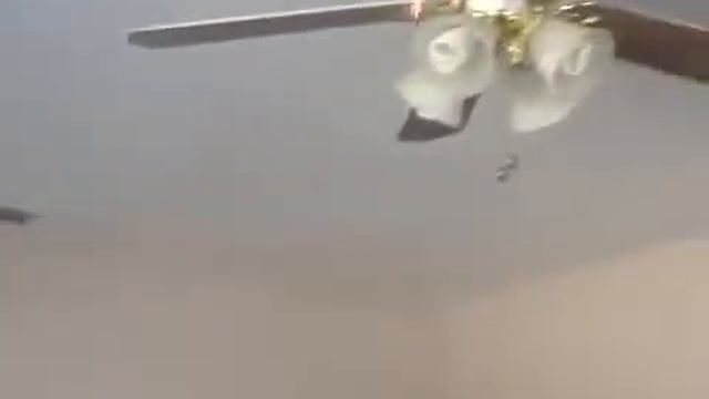 Летающая фея в полете