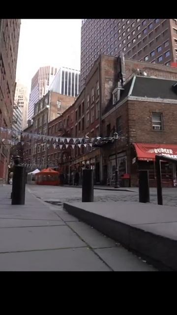 Трамп и Выговор Крипто Аналитиков в преддверии выборо смотреть онлайн