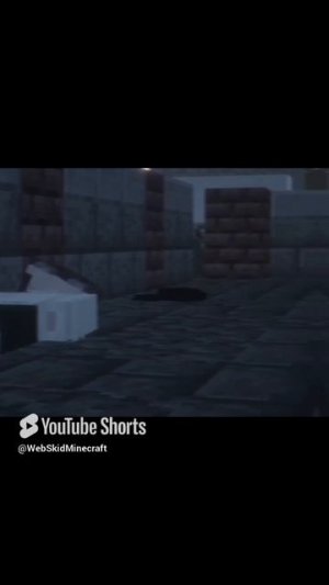 Тг канал _ @Web_skid #майнкрафт #minecraft  сериал #эдит #литвин #футбол #кондиции #edit #memes (26)