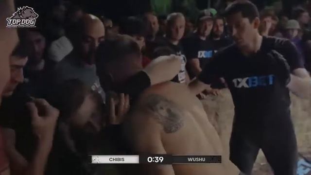 Top Dog | Топ Дог | TDFC 4 | Андрей Ушу-Мастер Vs. Николай Чибис