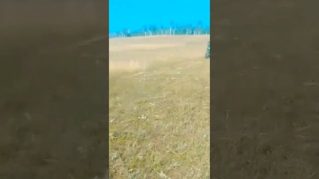 Косим сено. Трактор🚜 Т-40 смотреть онлайн