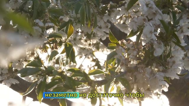 Диктофон в игрушке раскрыл ужас, который скрывал детс? смотреть онлайн