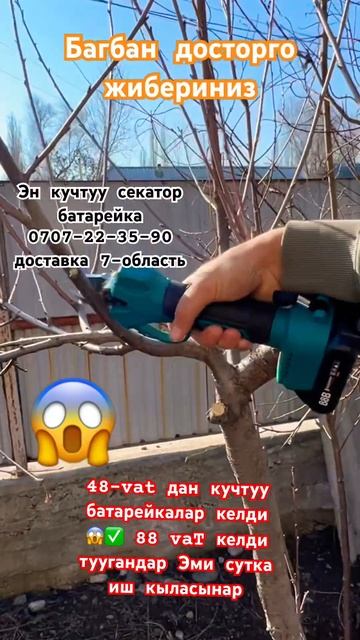 Эн кучтуу 😱Секатор абресный Кайчы смотреть онлайн