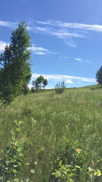 Мотоблок Ока