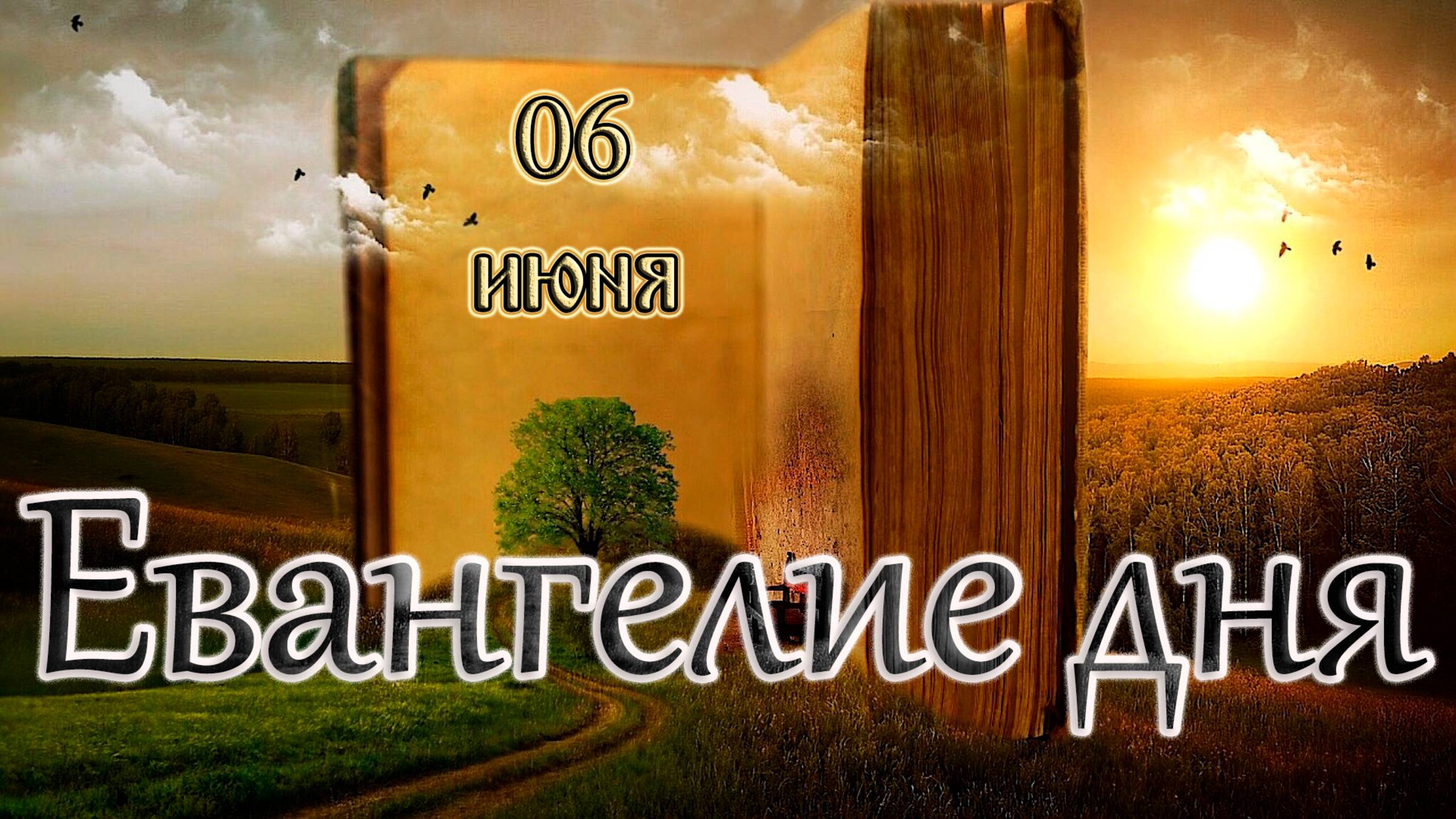 Апостол, Евангелие и Святые дня. Блж. Ксении Петербургской (прославление 1988). (06.06.25) смотреть онлайн