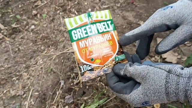 БОРЕМСЯ С МУРАШАМИ НА УЧАСТКЕ