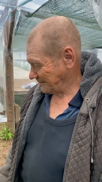 Моя работа, прививка арбуза на тыкву😆 смотреть онлайн