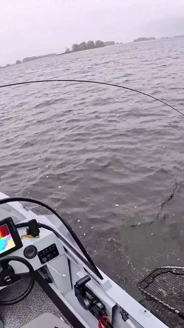 парковка бодрой щуки #рыбалка #отдых #спиннин смотреть онлайн