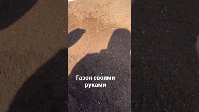 Газон своими руками #газон #газонсвоимируками смотреть онлайн