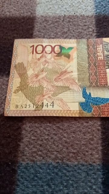 БАНКНОТА 1000 ТЕНГЕ № серии ВЛ2512444 на байковой поверхно? смотреть онлайн