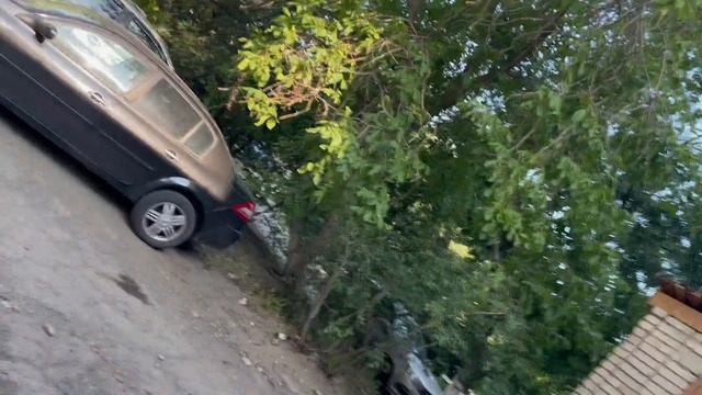 Утренняя прогулка с Джарвисом