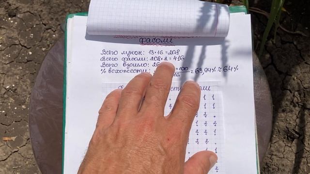 Полевая всхожесть фасоли смотреть онлайн