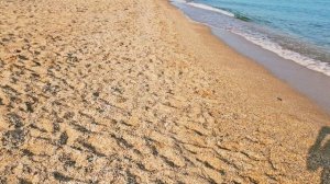 Крым-Приморский сегодня.Коротко о пляжах,мазуте,сезоне.