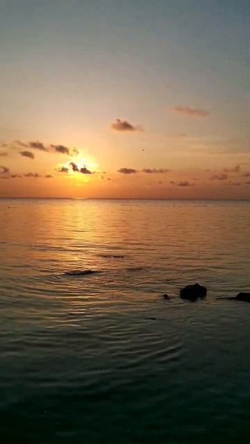 Рассвет, штиль и красота природы. Приятная музыка для ?