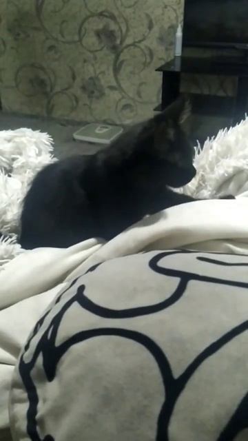 мнет смотреть онлайн