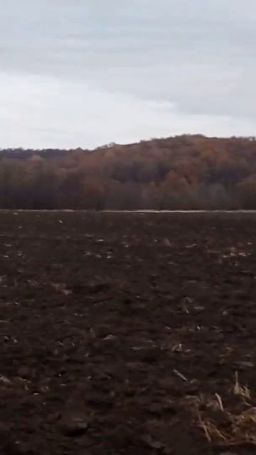 Коп с металлоискателем #metaldetecting #2024 #осень смотреть онлайн