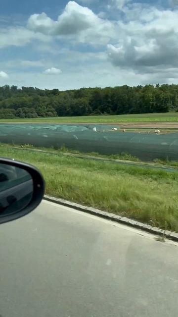 В Баварии очень много посажено всего и всё накрыто чт? смотреть онлайн