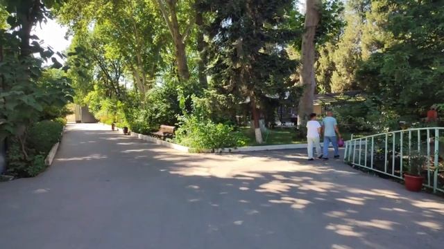 ТОП 5 МЕСТ прогулок БЕСПЛАТНО  + БОНУС