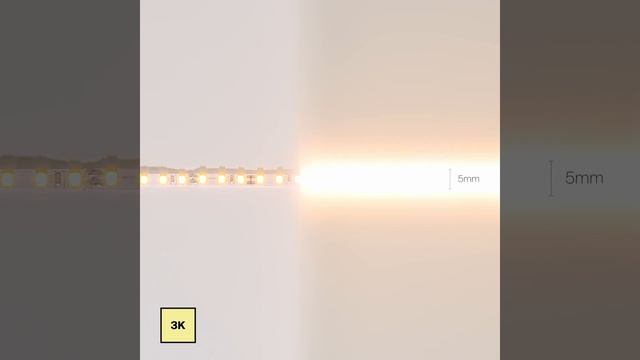 LED лента Maytoni Светодиодная лента 12В 20010