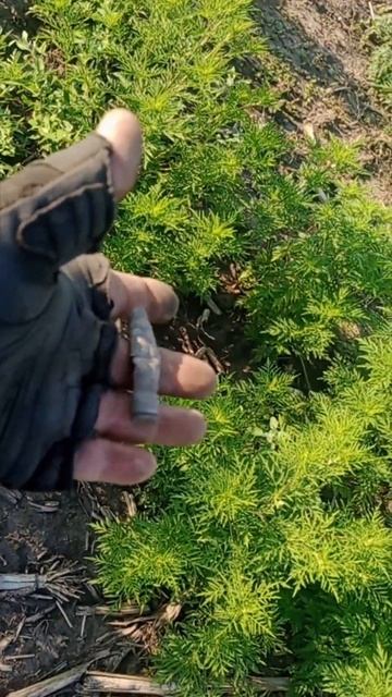 Ещё одна пулемётная точка #коп #questx5 #находки смотреть онлайн