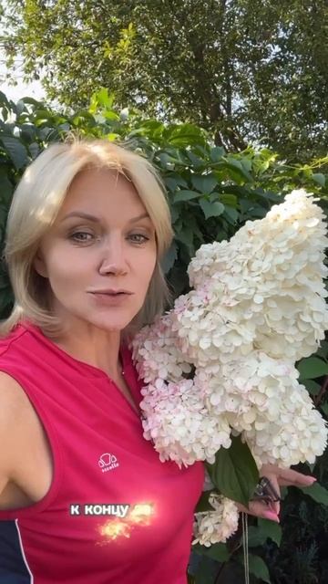 БОМБИЧЕСКОЕ ЦВЕТЕНИЕ ВАНИЛЛЫ ФРАЙЗ #SHORTS #цветы #гортен смотреть онлайн