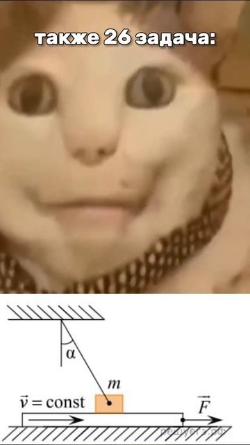 Бу, испугался? ЕГЭ по Физике 2025 #физика #егэ2025 #школа смотреть онлайн