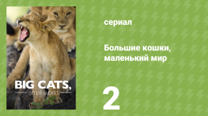 Большие кошки, маленький мир 2 серия «Пережить паводок» (документальный сериал, 2024)