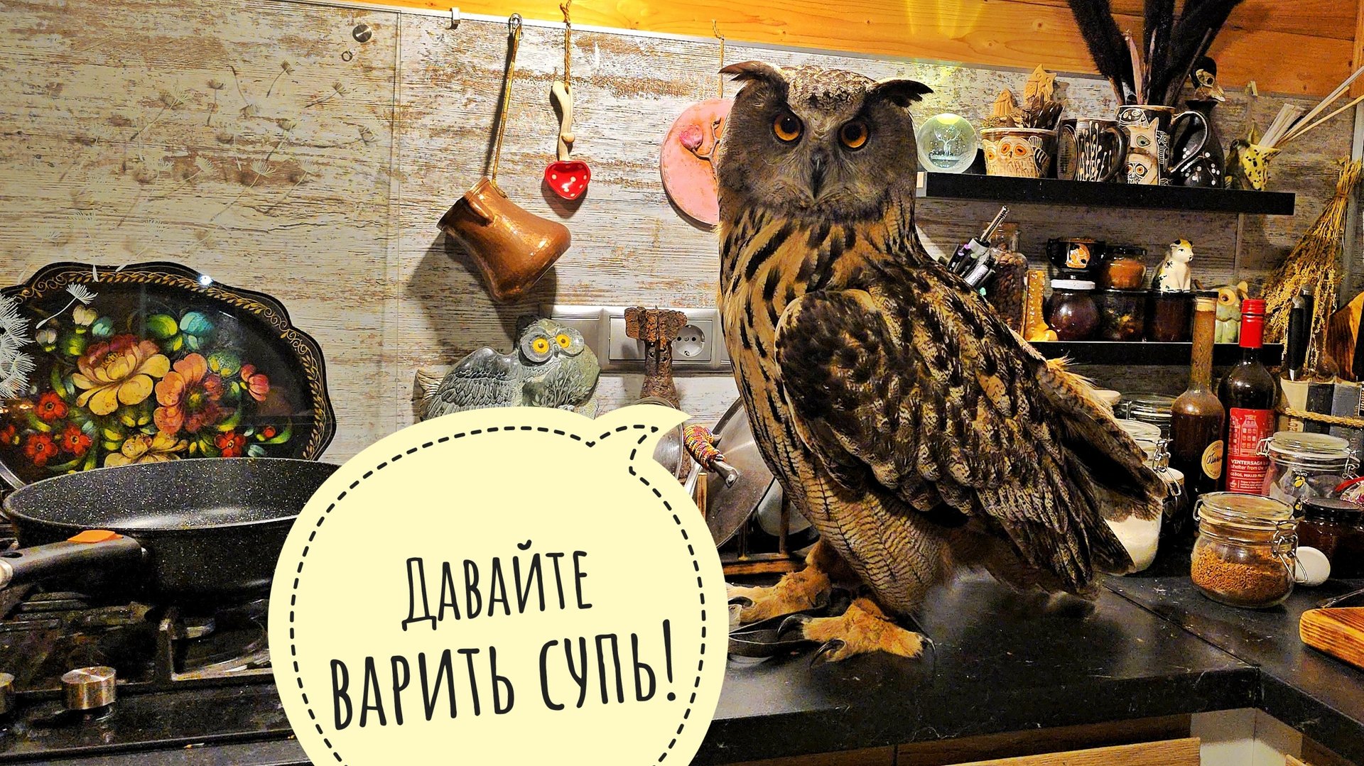 Сова Ёль пришла на кухню составить компанию нам с кошкой Морошкой. Сидим, уют создаём смотреть онлайн