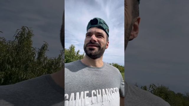 Ртвели в Грузии. Сбор урожая винограда смотреть онлайн