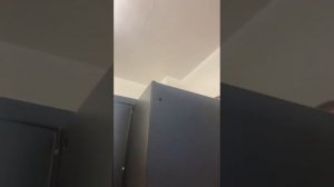 Обзор на вытяжку Weissgauff TEL 600 EB