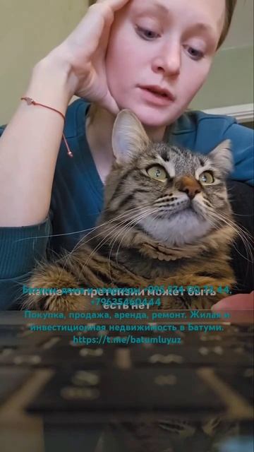 Питание кошка вот полюбуйся всё по месяцам расписано ?