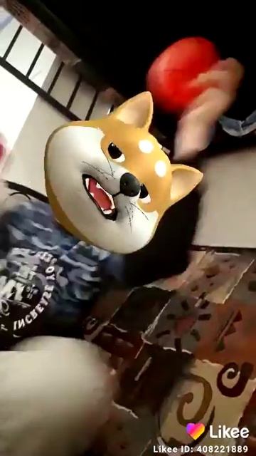 У скуби ду есть курица смотреть онлайн