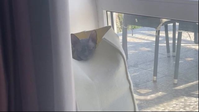 Это ты что ли?! Смотрюсь в тебя, как в зеркало, а там...