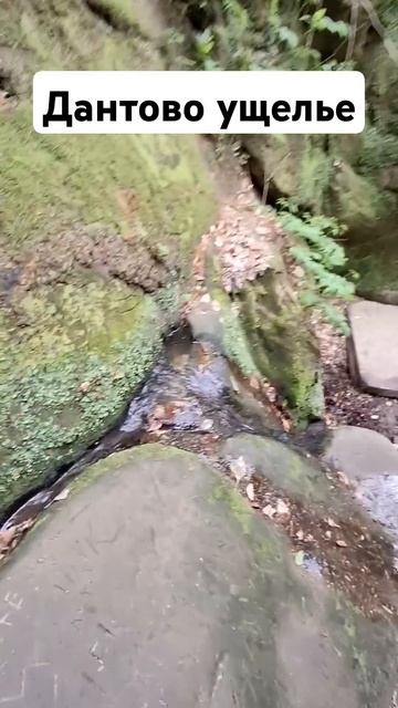 Дантово ущелье #shortvideo #видео #reels #краснодарскийкрай #г? смотреть онлайн