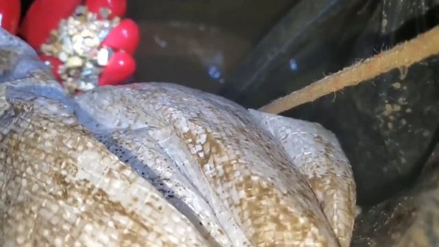 Г. Хотьково. 22 кольца. Плывун. Двойной донный фильтр. Podk