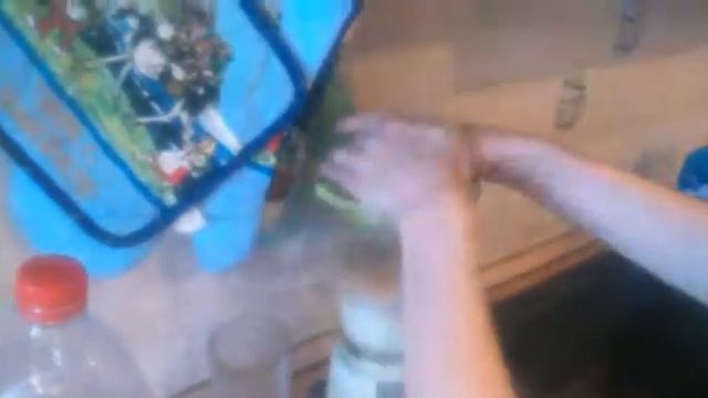 Smoothie Challenge//// Смузи/// С Аней Star ///