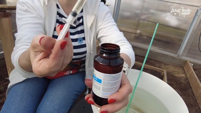 КАК И КОГДА ЛУЧШЕ ДАВАТЬ БОР И КАЛЬЦИЙ ТОМАТАМ - ЗАБУД? смотреть онлайн