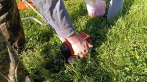 Запуск мотокосы триммера Stihl FS 120 спустя 9 месяцев хран?
