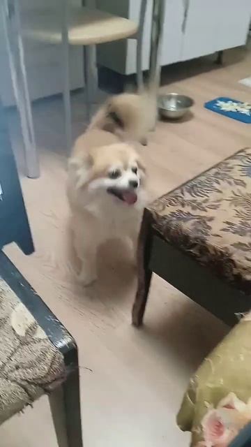 В последнее время работаю на удалëнке, и у меня есть 4 б смотреть онлайн