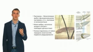 Зоология позвоночных. Эволюция позвоночных животных (Семенцов М. В.)