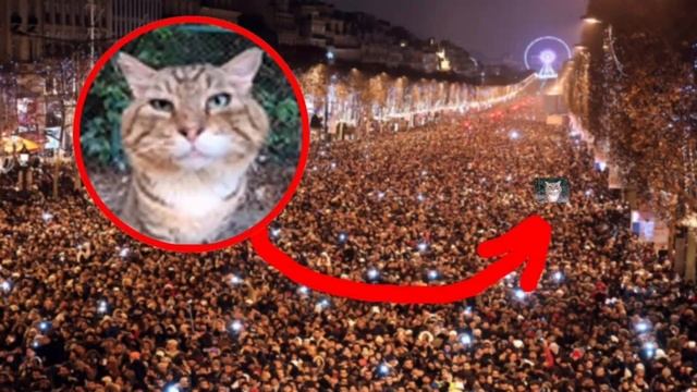 кто такой кот носок? Объяснение #котносоклегенда смотреть онлайн