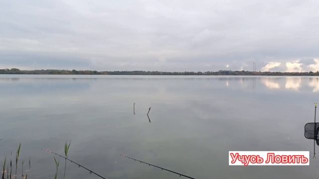 Осенняя рыбалка. Кудиновский карьер. Ловля плотвы на ф