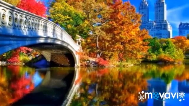 Березоньки березки смотреть онлайн