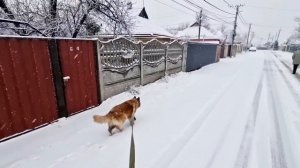 💥ВЗРЫВЫ💣ГЕРАНЬ🛩ШАХЕД👻ПВО🚀ХАРЬКОВ🙈 ВСЁ СТАБИЛ?