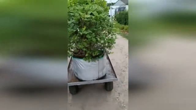 Тележка Кромлех-смарт смотреть онлайн