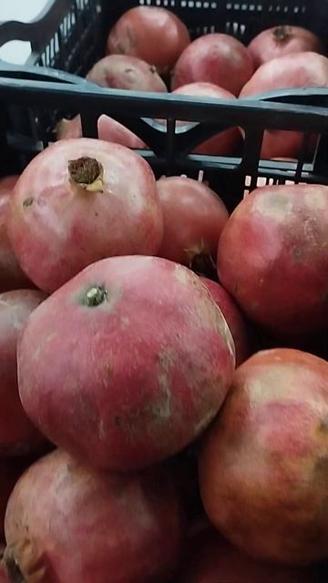 Гранат.Цена.Магазин Велмарт#гранат#цена#велмарт